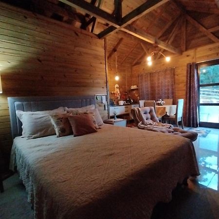 Tiny House Canjerana - Cabana Com Vista Dos Canyons プライア・グランデ エクステリア 写真
